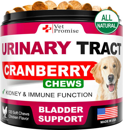Picture of Dog UTI Treatment - Cranberry Supplement for Dogs UTI - Bladder Control - Urinary Tract Infection Treatment Medicine - Cranberry Supplement Vitamins Multivitamin Chews - Made in USA