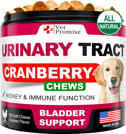 Picture of Dog UTI Treatment - Cranberry Supplement for Dogs UTI - Bladder Control - Urinary Tract Infection Treatment Medicine - Cranberry Supplement Vitamins Multivitamin Chews - Made in USA