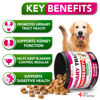Picture of Dog UTI Treatment - Cranberry Supplement for Dogs UTI - Bladder Control - Urinary Tract Infection Treatment Medicine - Cranberry Supplement Vitamins Multivitamin Chews - Made in USA