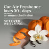Picture of Enviroscent Non-Toxic Car Air Freshener (Black Vanilla & Mandarin) Natural Car Air Freshener | Essential Oil Diffuser | Car Scent Lasting Over 180 Days | 3 Packs of 2 Hanging Auto Stix