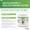 Picture of Vetoquinol Viralys L-Lysine Supplement for Cats - Cats & Kittens of All Ages - Immune Health - Sneezing, Runny Nose, Squinting, Watery Eyes - Flavored Lysine Powder