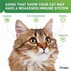 Picture of Vetoquinol Viralys L-Lysine Supplement for Cats - Cats & Kittens of All Ages - Immune Health - Sneezing, Runny Nose, Squinting, Watery Eyes - Flavored Lysine Powder