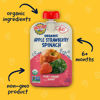 Picture of Earth's Best Organic Apple Strawberry Spinach Pouch, 3.5 oz (Pack of 12)