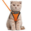 Picture of rabbitgoo Cat Harness and Leash Set for Walking Escape Proof, Adjustable Soft Kittens Vest with Reflective Strip for Cats, Comfortable Outdoor Vest,Light Orange,L