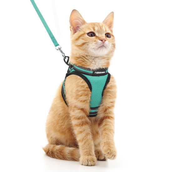 Picture of rabbitgoo Cat Harness and Leash Set for Walking Escape Proof, Adjustable Soft Kittens Vest with Reflective Strip for Cats, Comfortable Outdoor Vest,Green,M
