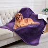 Picture of Yaning Waterproof Blanket for Bed Couch Sofa, Soft Liquid Pee Proof Pet Blanket for Dog Puppy Cat, Reversible Sherpa Fleece Furniture Protector (Dark Purple, 60x80 inches)