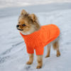 Picture of Queenmore Small Dog Pullover Sweater, Cold Weather Cable Knitwear, Classic Turtleneck Thick Warm Clothes for Chihuahua, Bulldog, Dachshund, Pug (Orange, Large)