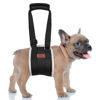 Picture of Adjustable Dog Lift Harness, Dog Sling for Large Dogs Lift Support and Rehab Harness for Weak Rear Legs, Soft Hind Leg Support Helps Senior, Injured, Disabled and After ACL Surgery Dogs(Black,Small)