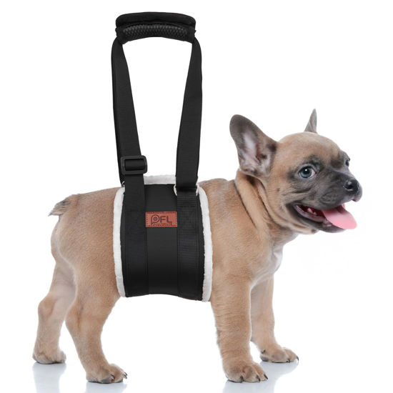 Picture of Adjustable Dog Lift Harness, Dog Sling for Large Dogs Lift Support and Rehab Harness for Weak Rear Legs, Soft Hind Leg Support Helps Senior, Injured, Disabled and After ACL Surgery Dogs(Black,Small)
