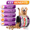 Picture of Dog Multivitamin Chewable with Glucosamine - Dog Vitamins and Supplements - Senior & Puppy Multivitamin for Dogs - Pet Joint Support Health - Immunity - Mobility - Energy - Gut - Skin - 120 Chews