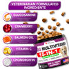 Picture of Dog Multivitamin Chewable with Glucosamine - Dog Vitamins and Supplements - Senior & Puppy Multivitamin for Dogs - Pet Joint Support Health - Immunity - Mobility - Energy - Gut - Skin - 120 Chews
