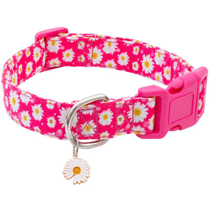 Picture of Faygarsle Cotton Dog Collar Cute Dog Collars for Small Medium Large Dogs Hot Pink Floral Colored Options Soft and Fancy Pet Collars for Girls Flower Pattern for Girl Dog Collar S