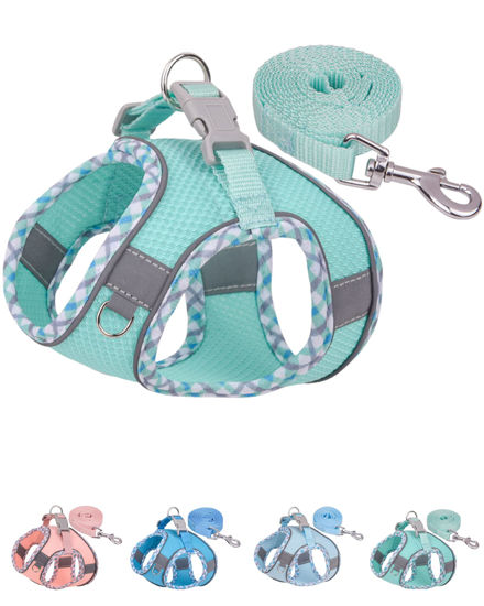Picture of Petank Green Dog Harness (XS), No Pull, Puppy Harness and Leash Set, Jacquard Mesh, Easy Walk Dog Harness for Small Medium Dogs, Reflective Strip, Training, Running, Walking