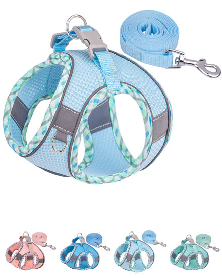Picture of Petank Dog Harness for Small Medium Dogs No Pull, Puppy Harness and Leash Set, Easy Walk Dog Harness for Walking, Running, Training, Small Dog Harness, Medium Dog Harness (Light Blue, XXS)