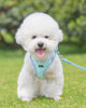 Picture of Petank Dog Harness for Small Medium Dogs No Pull, Puppy Harness and Leash Set, Easy Walk Dog Harness for Walking, Running, Training, Small Dog Harness, Medium Dog Harness (Light Blue, XXS)