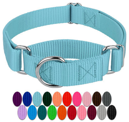 Picture of Country Brook Petz Martingale Dog Collar - Heavy-Duty Training Collar with No Buckle - Service Dog Collar for All Pups - Vibrant, Colorful Collection (Ocean Blue, 1 Inch, Large)