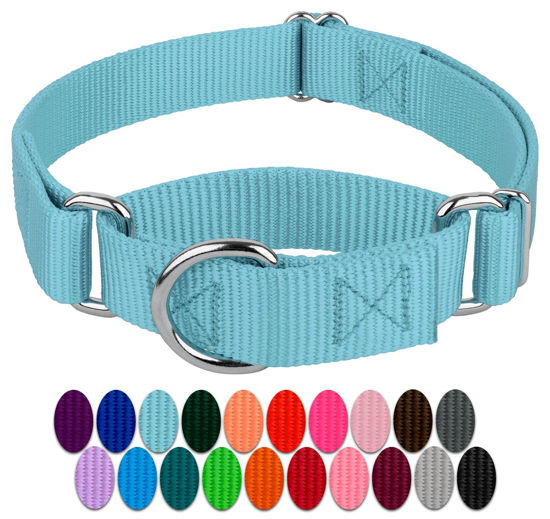 Picture of Country Brook Petz Martingale Dog Collar - Heavy-Duty Training Collar with No Buckle - Service Dog Collar for All Pups - Vibrant, Colorful Collection (Ocean Blue, 1 Inch, Large)