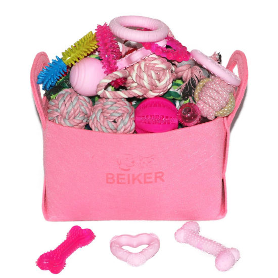 Picture of Beiker 20 Pack Pink Puppy Chew Toys - Dog Teething Toys for Puppies, Puppy Toys Toothbrush with Durable Ropes, Soft Dogs Toy Bundle for Small Dogs, Cute Interactive Dog Balls for Chewers