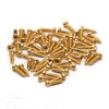 Picture of SAPHUE 50pcs Acoustic Electric Guitar Tuning Pegs ScrewsTuner Screws,Bass Guitar Machine Heads Mounting Screws for Electric/Acoustic Guitar Bass (Gold, 2 * 11mm)