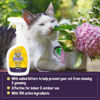 Picture of Bodhi Dog 3-in-1 Cat & Kitten Training Aid | Cat Deterrent Spray for Indoor and Outdoor Use | Cat Repellent Spray for Furniture | Establish Boundaries & Keep Cat Off | Made in The USA (32 oz)