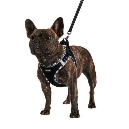 Picture of AMTOR Dog Harness with Leash Set,No Pull Adjustable Reflective Step-in Puppy Harness with Padded Vest for Extra-Small/Small Medium Large Dogs and Cats(Blackwhite),XLarge(Chest:19.5''''-23''''