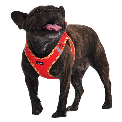 Picture of AMTOR Dog Harness with Leash Set,No Pull Adjustable Reflective Puppy Harness with Padded Vest for Extra-Small/Small Medium Large Dogs and Cats(Red)