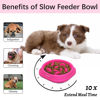 Picture of MateeyLife Small Slow Feeder Cat Bowls, Anti-Choking Puzzle Cat Food Bowls, Non Slip Interactive Dog Feeding Bowls Slow Down Eating, Bloat Stop Maze Cat Dishes Dog Feeder for Small Breeds 1 Cup Purple