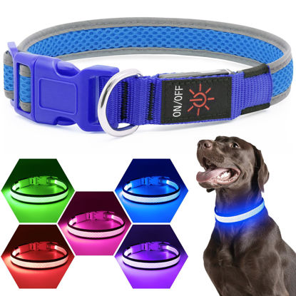 Picture of Flashseen LED Dog Collar, USB Rechargeable Light Up Dog Collar Lights, Adjustable Comfortable Soft Mesh Safety Dog Collar for Small, Medium, Large Dogs(Medium, Royal Blue)