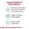 Picture of Royal Canin Feline Urinary Care Thin Slices in Gravy Wet Cat Food, 3 oz can (24-count)