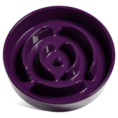 Picture of LE TAUCI Slow Feeder Dog Bowls Ceramic, 3 Cups Slow Feeding Dog Bowl Medium Large Breed, Maze Dog Bowl for Fast Eaters, Dog Dishes to Slow Down Eating, Puzzle Dog Food Bowl, Dog Maze Bowl, Maze Purple