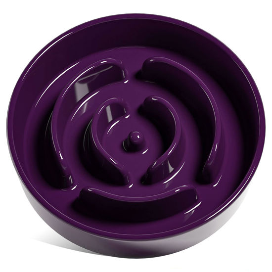 Picture of LE TAUCI Slow Feeder Dog Bowls Ceramic, 3 Cups Slow Feeding Dog Bowl Medium Large Breed, Maze Dog Bowl for Fast Eaters, Dog Dishes to Slow Down Eating, Puzzle Dog Food Bowl, Dog Maze Bowl, Maze Purple