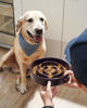 Picture of LE TAUCI Slow Feeder Dog Bowls Ceramic, 3 Cups Slow Feeding Dog Bowl Medium Large Breed, Maze Dog Bowl for Fast Eaters, Dog Dishes to Slow Down Eating, Puzzle Dog Food Bowl, Dog Maze Bowl, Maze Purple