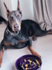 Picture of LE TAUCI Slow Feeder Dog Bowls Ceramic, 3 Cups Slow Feeding Dog Bowl Medium Large Breed, Maze Dog Bowl for Fast Eaters, Dog Dishes to Slow Down Eating, Puzzle Dog Food Bowl, Dog Maze Bowl, Maze Purple