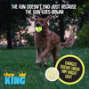 Picture of Chew King Glowing Fetch Ball, Dog Ball Toys, Medium 2-Pack Lattice