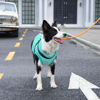 Picture of JoyDaog Dog Jacket with Harness,Fleece Lined Warm Puppy Coat for Winter,Soft Windproof Small Dog Vest,Bluegreen XS