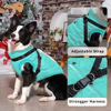 Picture of JoyDaog Dog Jacket with Harness,Fleece Lined Warm Puppy Coat for Winter,Soft Windproof Small Dog Vest,Bluegreen XS