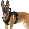 Picture of WINGOIN Black Tactical Dog Harness for Medium Small Dogs No Pull Adjustable Reflective Military Pet Harness with Easy Control Handle with Hook & Loop Panels for Walking Hiking Training