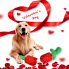 Picture of lilfrd Rose Puzzle Dog Toy, Valentine's Day & Christmas Gift, Squeaky Crinkle Enrichment Snuffle Mat, for Small Medium Large Dogs & Puppies