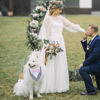 Picture of ADOGGYGO Formal Dog Tuxedo Wedding Dog Bandana Dog Wedding Tux with Bowtie Dog Birthday Costume Adjustable Dog Formal Outfit for Large Dogs Pets (L, Grey)