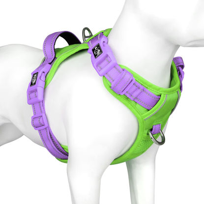 Picture of PHOEPET No Pull Dog Harness, Unique Colors Reflective Adjustable Dog Vest, with Soft Training Handle Metal Clips for Small Medium Large Dogs (Green Base & Purple Straps,XL)
