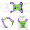 Picture of PHOEPET No Pull Dog Harness, Unique Colors Reflective Adjustable Dog Vest, with Soft Training Handle Metal Clips for Small Medium Large Dogs (Green Base & Purple Straps,XL)