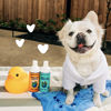 Picture of earthbath, Oatmeal & Aloe Dog Shampoo and Conditioner - Oatmeal Shampoo for Dogs, Itchy, Dry Skin Relief, Dog Wash, Made in USA, Dog Conditioner, Pet Shampoos - Vanilla & Almond, 16 Oz (1 Set)