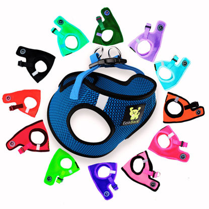 Picture of EcoBark Dog Harness - Teacup Dog Harnesses for XXS, XS, and Small Dogs - Step in Mesh Mini Body Halter - Puppy to Senior Dogs - Toy Breed Dog Harness Vest Under 5 pounds lbs (XXXS, Bright Blue)