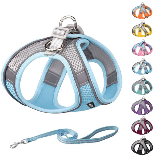 Picture of AIITLE Soft Dog Harness No Choke Over - Step in Adjustable Dog Harnes with Breathable Mesh and Quick-Release Buckle for Hot Weather- Outdoor Walking, Training for Medium Dogs Blue XL