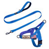 Picture of Annchwool No Pull Dog Harness with Padded Handle+5 Ft Leash,Reflective Strip Escape Proof and Quick Fit to Adjust Dog Harness,Easy for Training Walking for Small & Medium and Large Dog(Blue-Set,M)