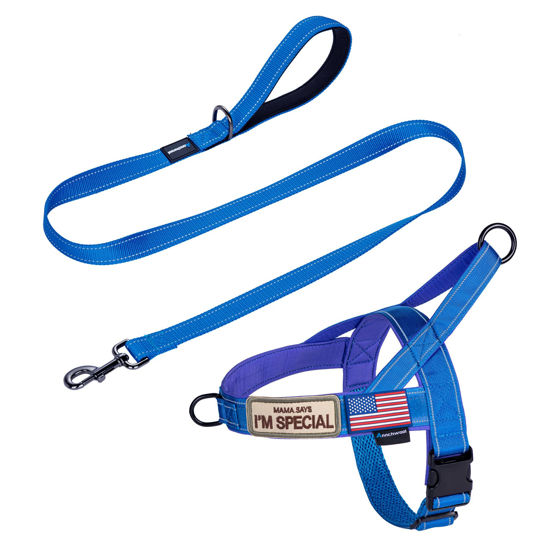 Picture of Annchwool No Pull Dog Harness with Padded Handle+5 Ft Leash,Reflective Strip Escape Proof and Quick Fit to Adjust Dog Harness,Easy for Training Walking for Small & Medium and Large Dog(Blue-Set,M)