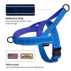 Picture of Annchwool No Pull Dog Harness with Padded Handle+5 Ft Leash,Reflective Strip Escape Proof and Quick Fit to Adjust Dog Harness,Easy for Training Walking for Small & Medium and Large Dog(Blue-Set,M)