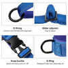 Picture of Annchwool No Pull Dog Harness with Padded Handle+5 Ft Leash,Reflective Strip Escape Proof and Quick Fit to Adjust Dog Harness,Easy for Training Walking for Small & Medium and Large Dog(Blue-Set,M)