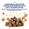 Picture of ProDen PlaqueOff Scoopables: Salmon-Flavored Dental Bites for Cats - Natural Kelp Formula for Plaque & Tartar Control, Freshens Breath- 45 Scoops