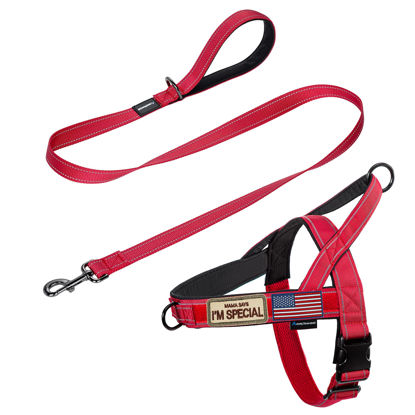 Picture of Annchwool No Pull Dog Harness with Padded Handle+5 Ft Leash,Reflective Strip Escape Proof and Quick Fit to Adjust Dog Harness,Easy for Training Walking for Small & Medium and Large Dog(Red-Set,S)